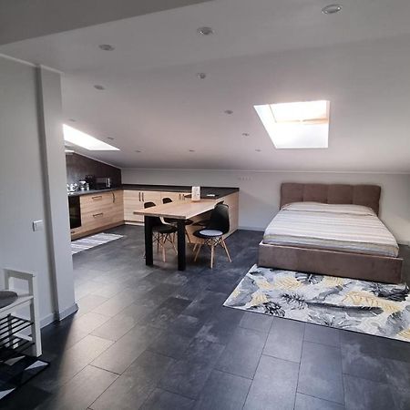 Mansarda Apartment Kamianets Podilskyi Bagian luar foto