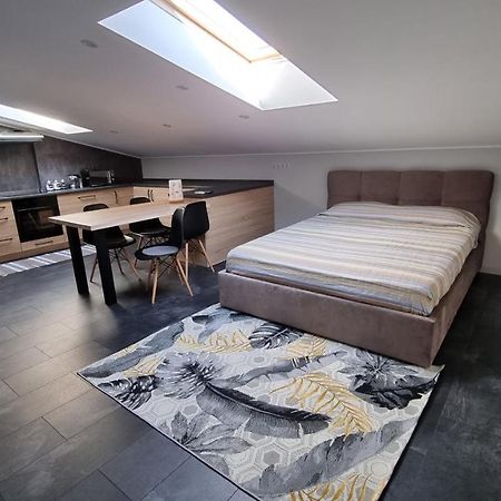 Mansarda Apartment Kamianets Podilskyi Bagian luar foto