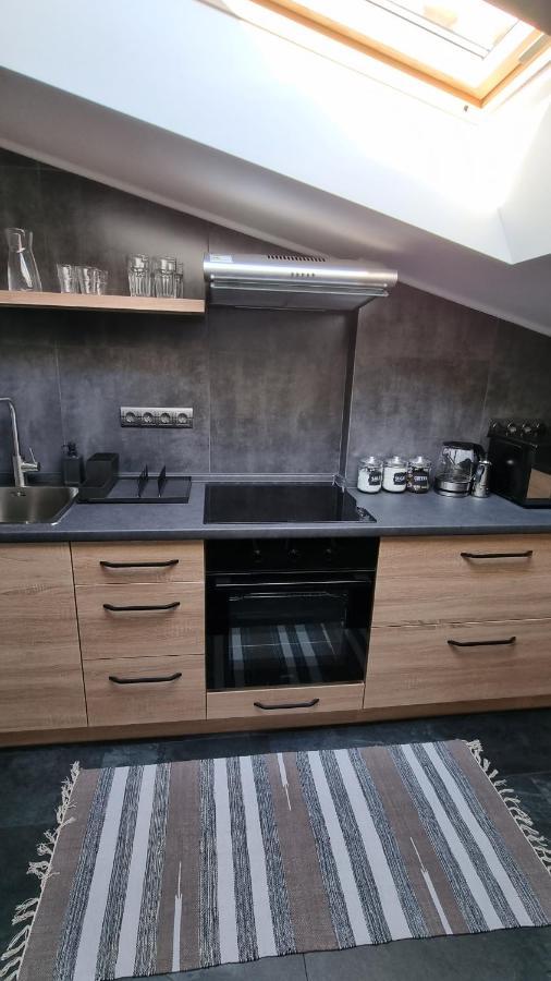 Mansarda Apartment Kamianets Podilskyi Bagian luar foto