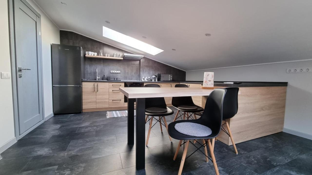 Mansarda Apartment Kamianets Podilskyi Bagian luar foto