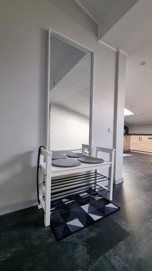 Mansarda Apartment Kamianets Podilskyi Bagian luar foto