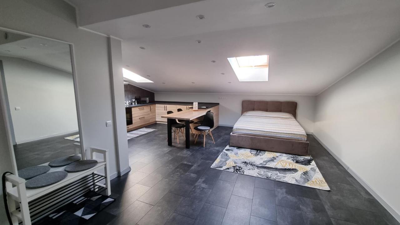 Mansarda Apartment Kamianets Podilskyi Bagian luar foto