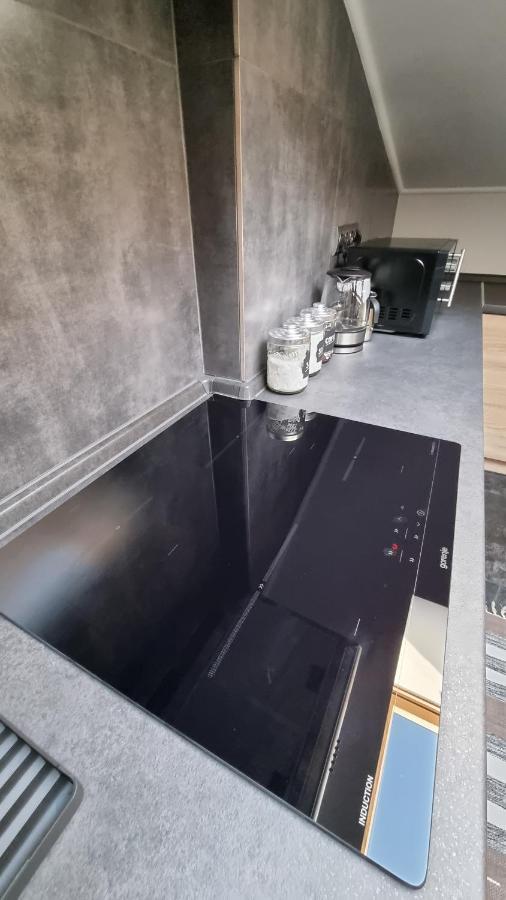 Mansarda Apartment Kamianets Podilskyi Bagian luar foto
