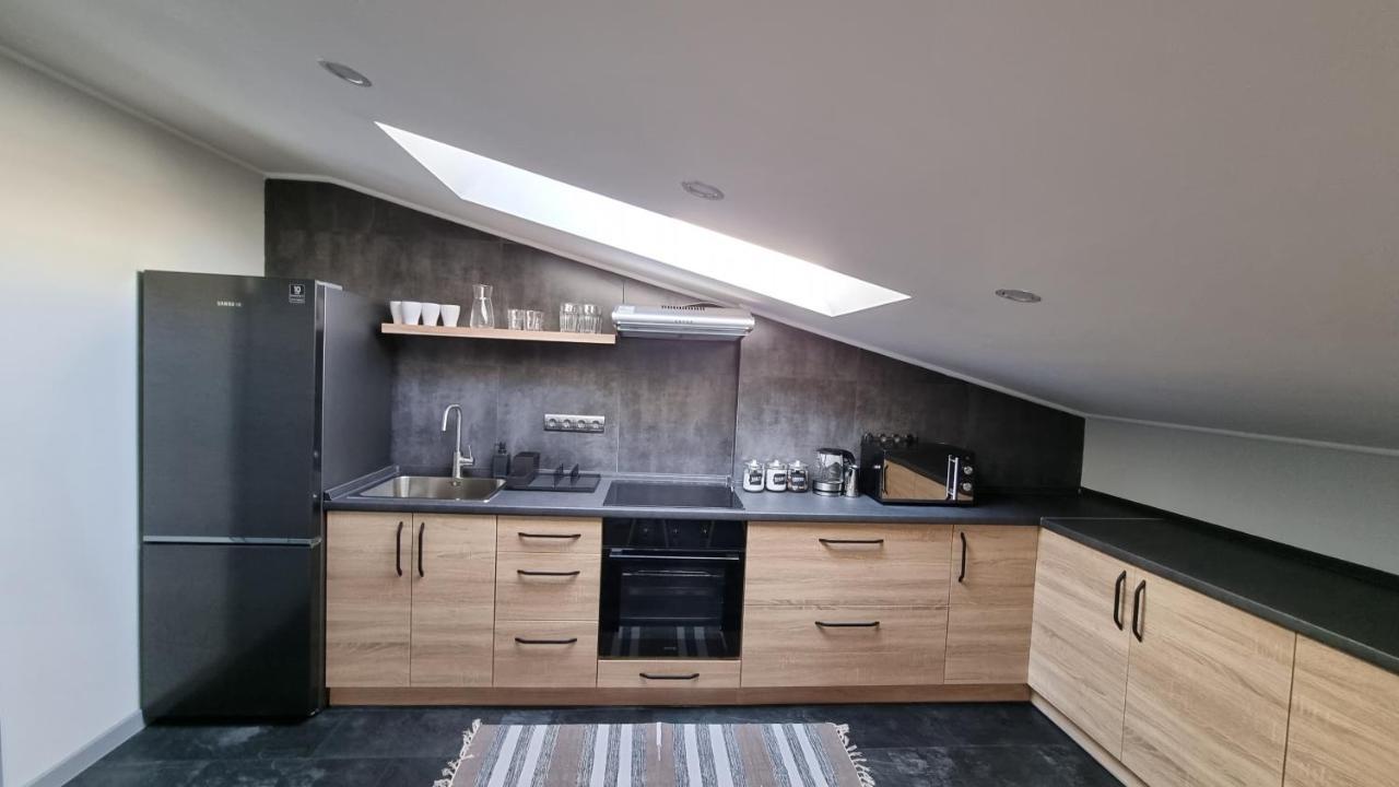Mansarda Apartment Kamianets Podilskyi Bagian luar foto