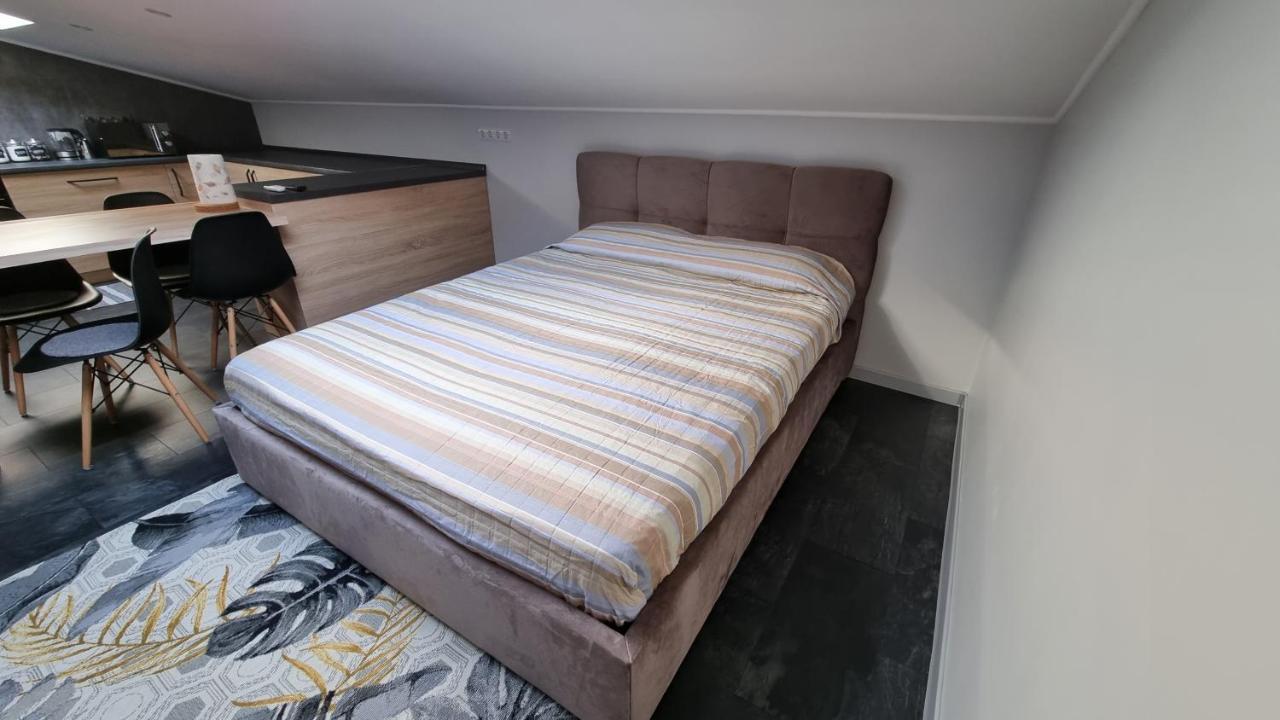Mansarda Apartment Kamianets Podilskyi Bagian luar foto