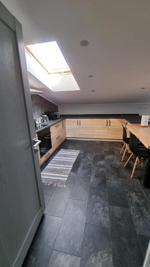 Mansarda Apartment Kamianets Podilskyi Bagian luar foto