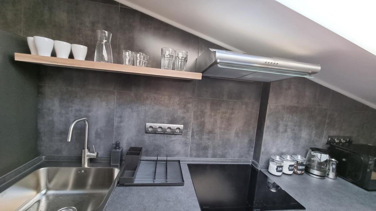 Mansarda Apartment Kamianets Podilskyi Bagian luar foto