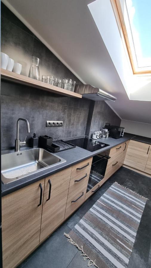 Mansarda Apartment Kamianets Podilskyi Bagian luar foto