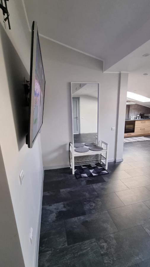 Mansarda Apartment Kamianets Podilskyi Bagian luar foto