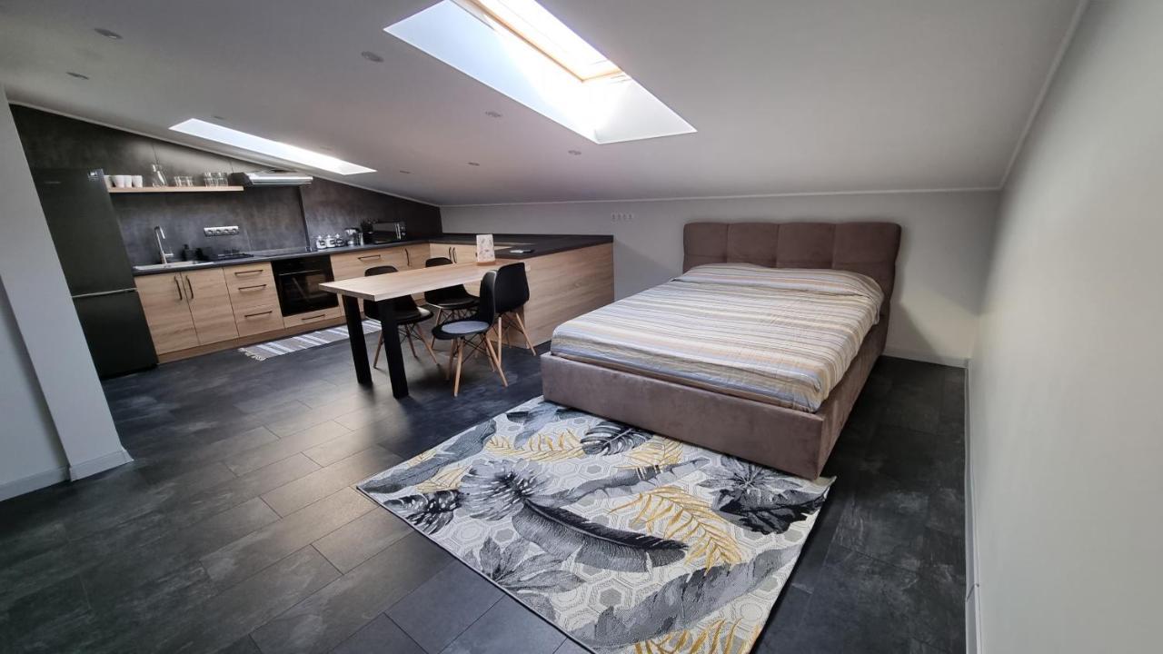 Mansarda Apartment Kamianets Podilskyi Bagian luar foto