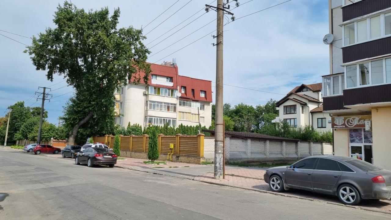 Mansarda Apartment Kamianets Podilskyi Bagian luar foto
